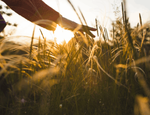 What to Expect on the Day of the Funeral