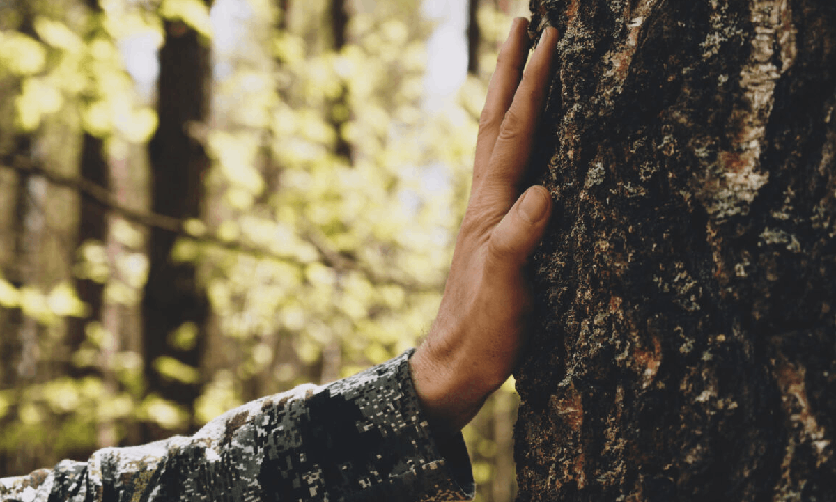 AdobeStock_hand-on-tree-1200×702
